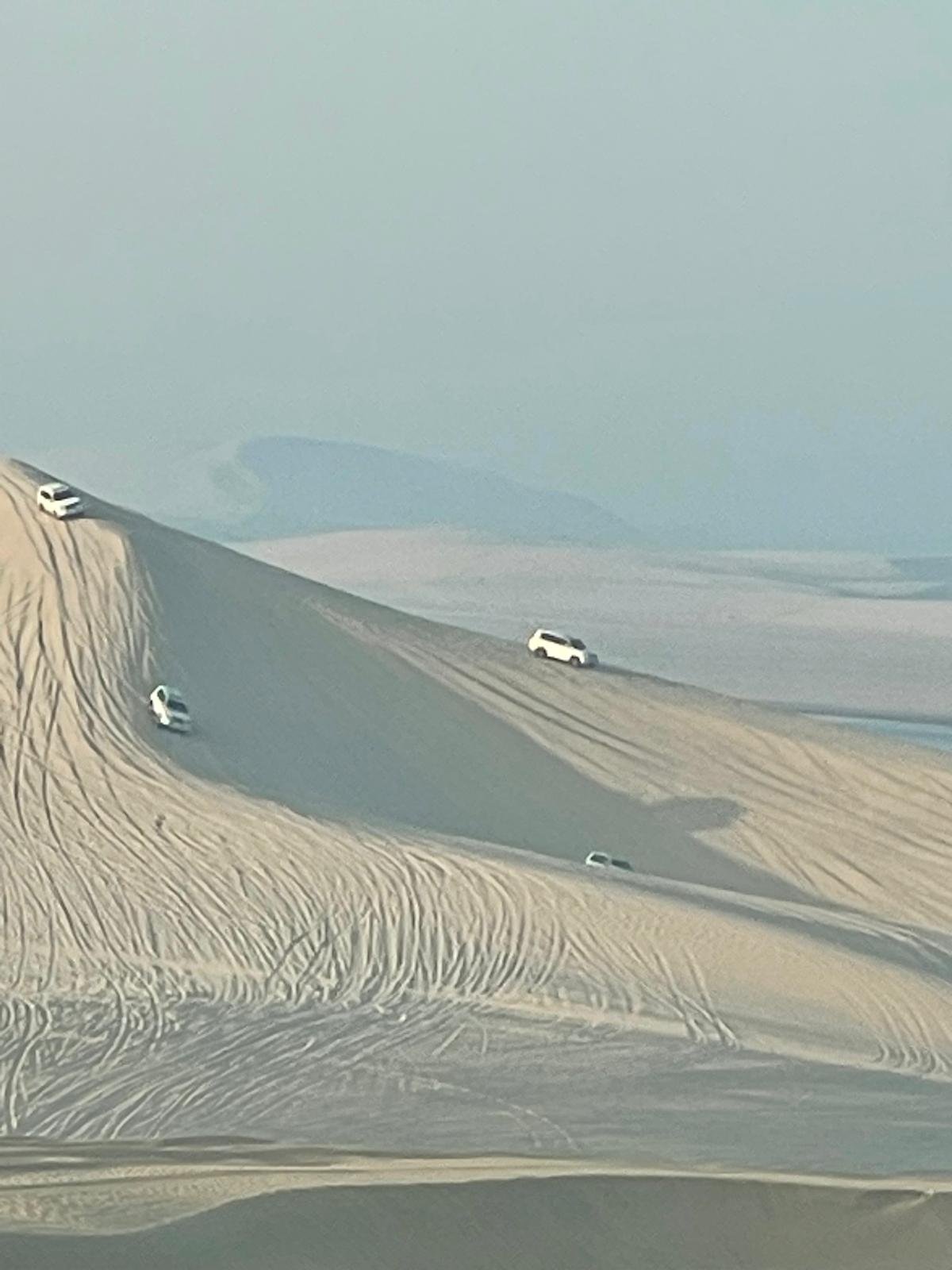 Vehicle tracks curving down a steep dune face