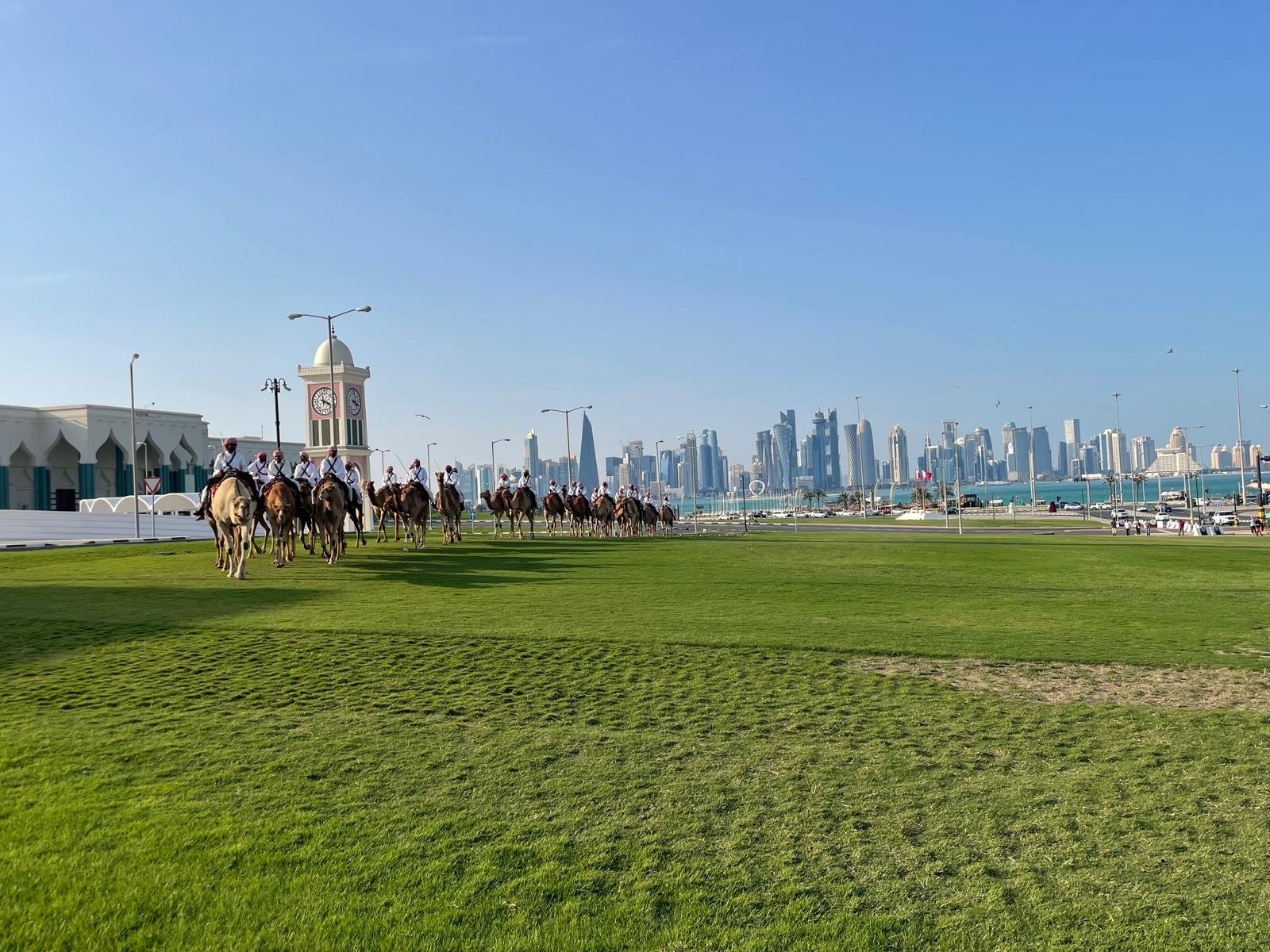 A line of camels and riders on grass with the Doha skyline behind