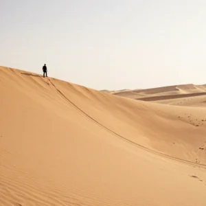 Dune Bashing Adventure