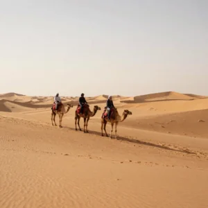 Dune Bashing With Camel 15 Mints Per Person (Up to 6 Pax)