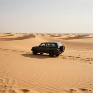 Private Desert Safari Per Vehicle (Up to 6 Pax)